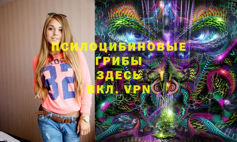 Галлюциногенные грибы Psilocybine cubensis  Пугачёв 